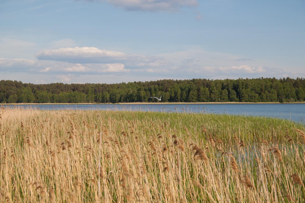 Duck Lake Villa Polatsk Exterior foto